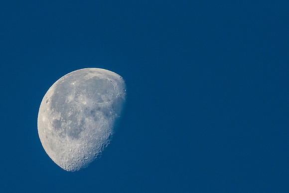 portfolio-101