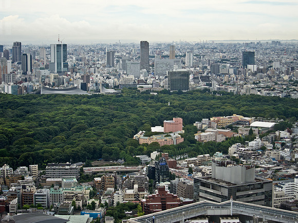 View from the Tokyo Metropolitan Government Building