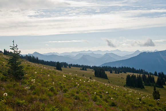 Mount Rainier National Park