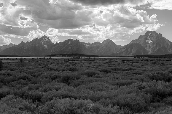 Teton Range from Willow Flats