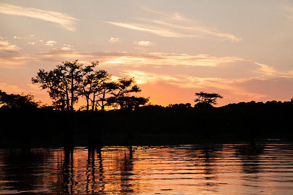 Caddo Lake
