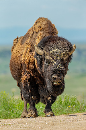 Badlands National Park