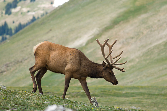 Rocky Mountain National Park