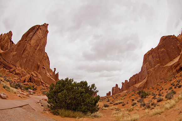 Arches National Park