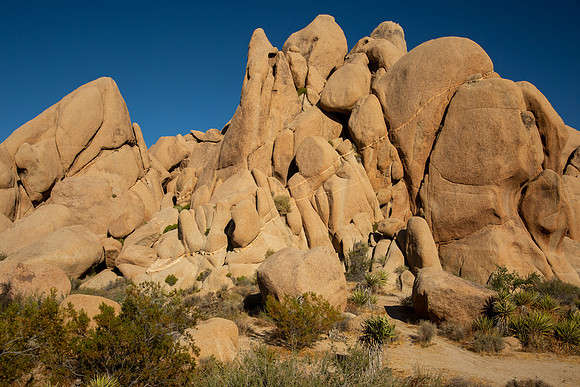 california2019-01
