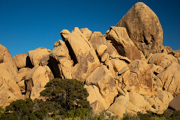 california2019-03