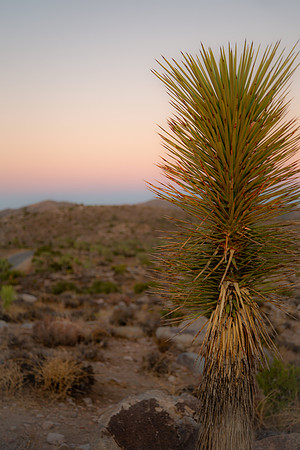 california2019-07