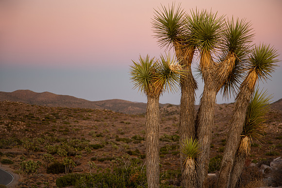 california2019-08