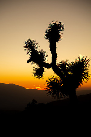 california2019-09