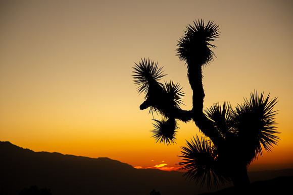 california2019-10