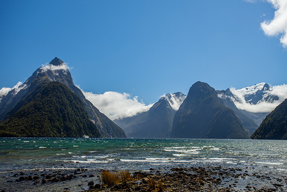 Boat Tour around Miford Sound in Fiordland National Park