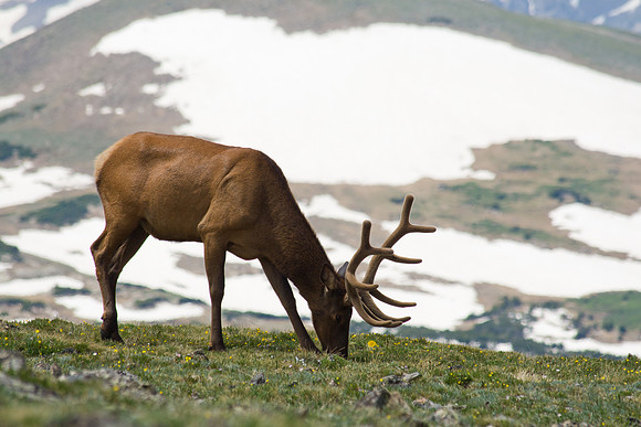 Rocky Mountain National Park