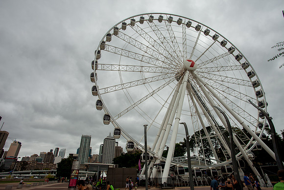 The Wheel of Brisbane