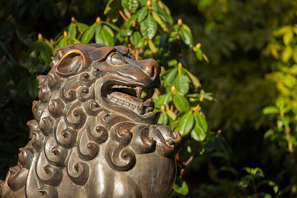 Sculpture, Botanic Gardens