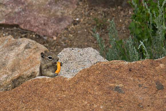 Rocky Mountain National Park