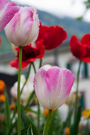 Interlaken, Switzerland