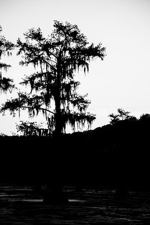 Caddo Lake