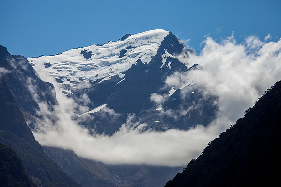 Boat Tour around Miford Sound in Fiordland National Park
