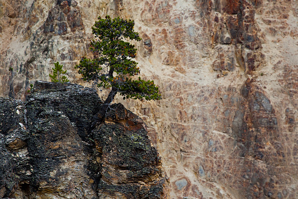 Yellowstone Canyon