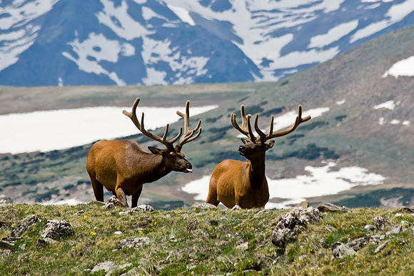 Rocky Mountain National Park