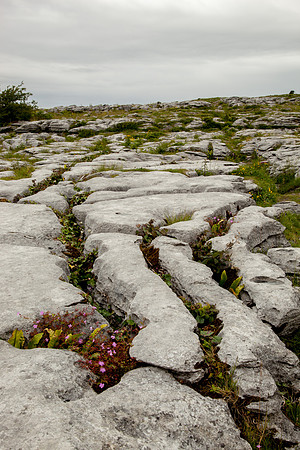 The Burren, County Clare, Ireland