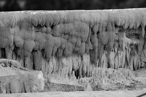 Mammoth Hot Springs Terraces