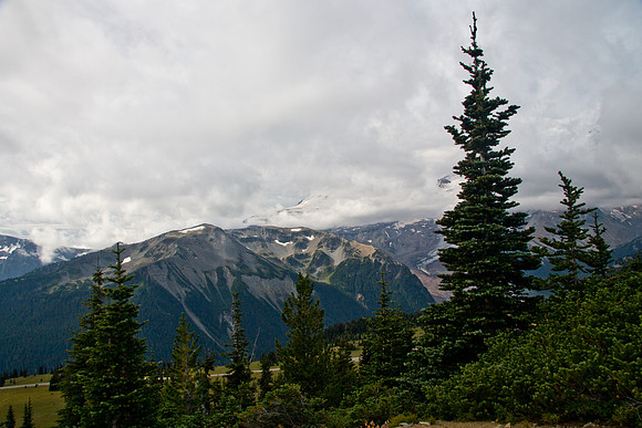 Mount Rainier National Park