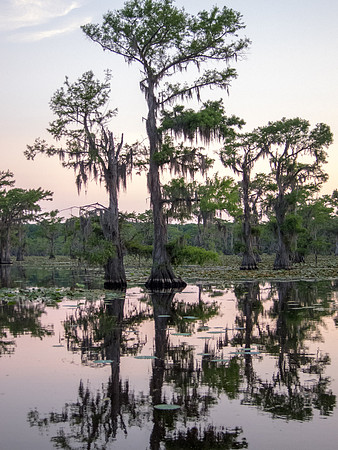 Caddo Lake