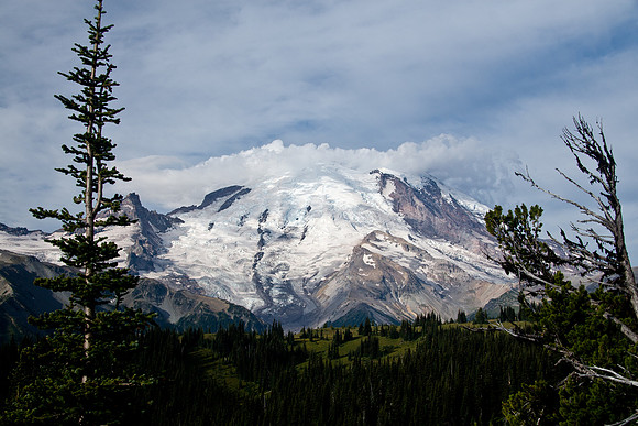 Mount Rainier National Park
