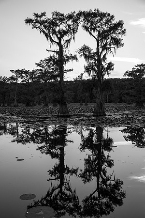 Caddo Lake