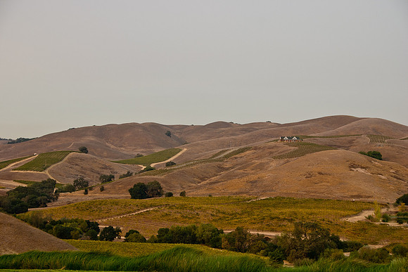 Napa Valley