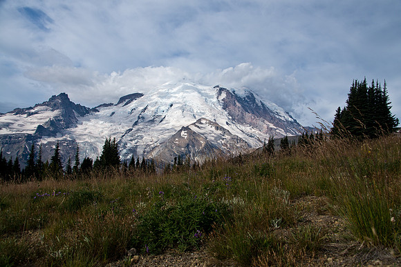 Mount Rainier National Park