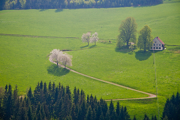 Black Forest, Germany
