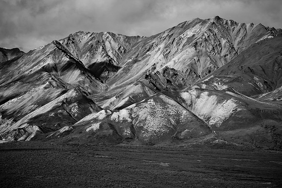 Denali National Park