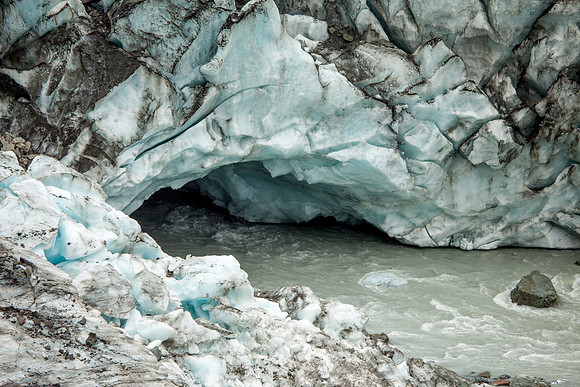 Fox Glacier Walk, West Coast near Fox Glacier