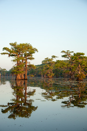 Caddo Lake
