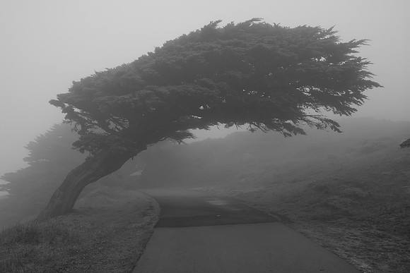 Point Reyes National Seashore