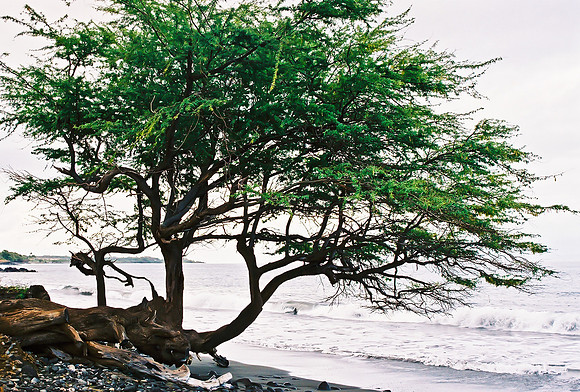 Road to Hana