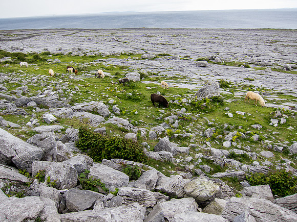 The Burren, County Clare, Ireland