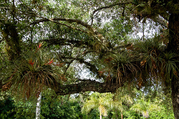 Everglades National Park