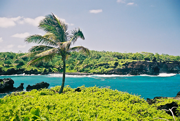 Black Sand Beach