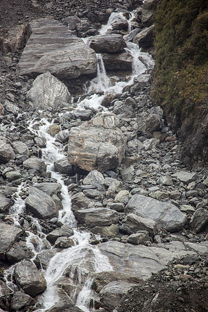 Fox Glacier Walk, West Coast near Fox Glacier
