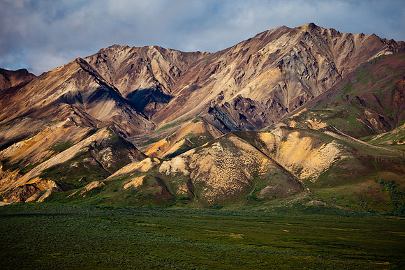 Denali National Park
