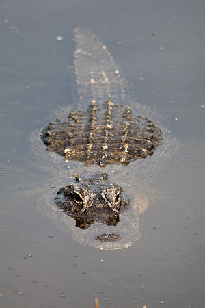 Everglades National Park