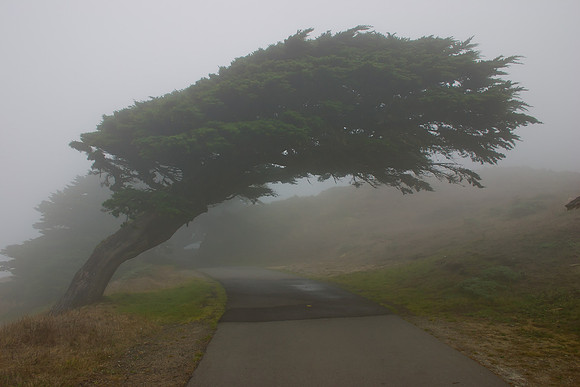 Point Reyes National Seashore