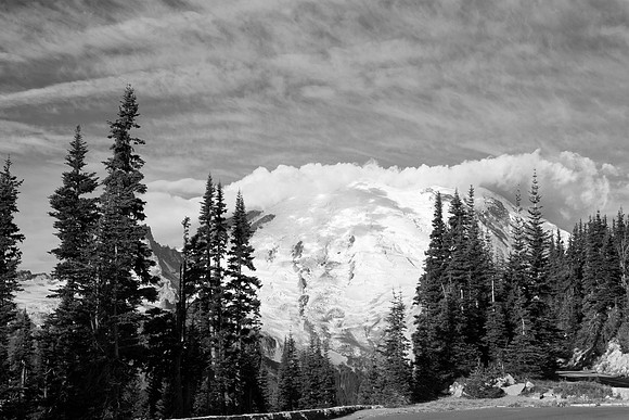 Mount Rainier National Park