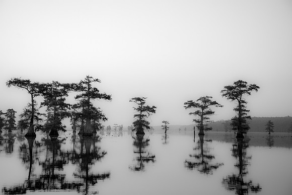 Caddo Lake