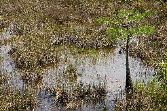 Everglades National Park