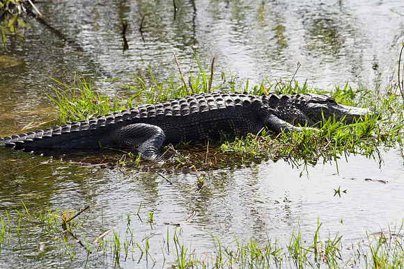 Everglades National Park