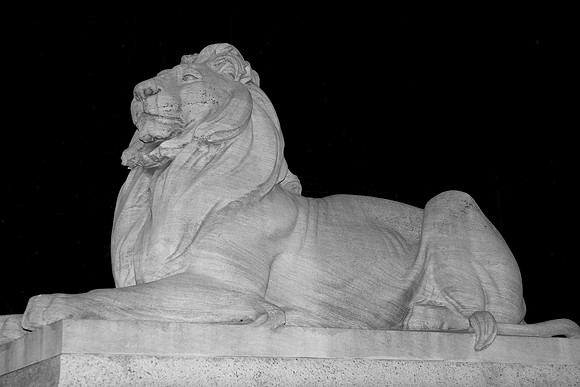 Lion outside the New York Public Library